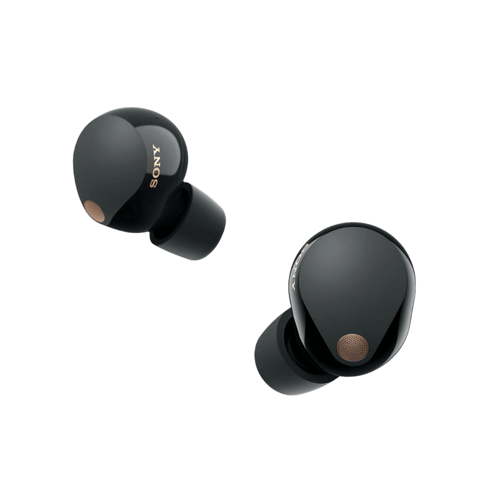 Sony WF-1000XM5 Écouteurs intra-auriculaires Bluetooth véritablement sans fil (WF1000XM5/BCE)