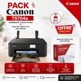 ack Canon TS704a Imprimante Canon TS704a + Pack de 230 Carte PVC